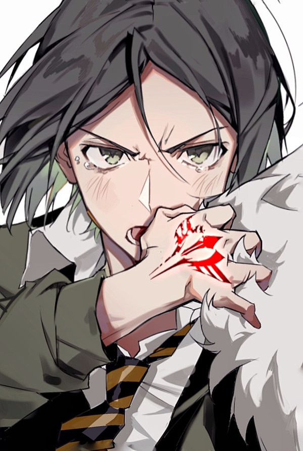 fgo授权转载阿周那迦尔纳韦伯伯爵好看极了