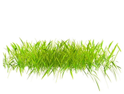 草坪草地草原小草环保树木绿色草丛摄影后期免抠png元素素材,【查看来