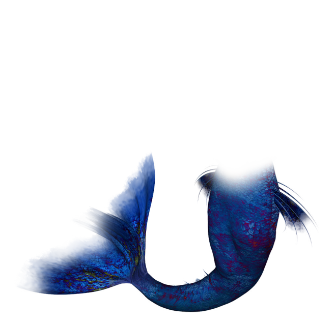 美人鱼 鱼尾 尾巴 素材