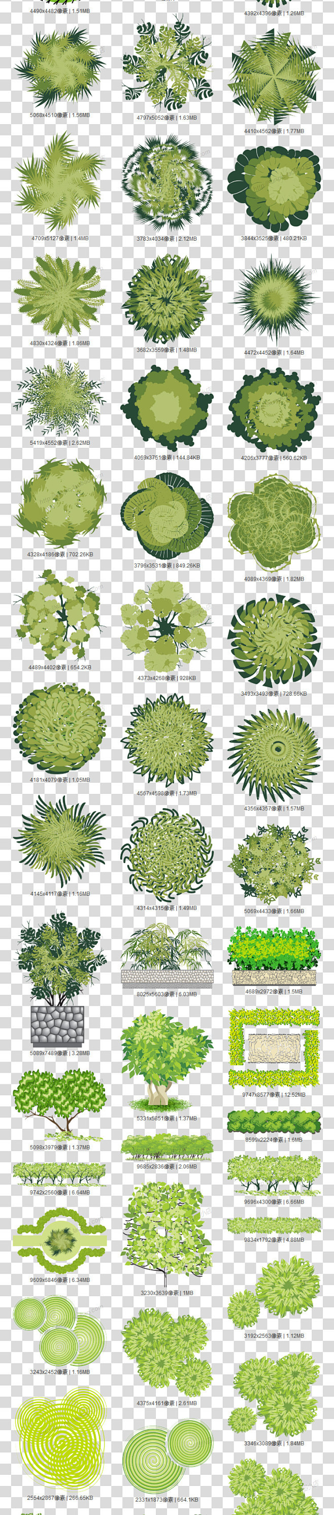 png免抠素材园林树木顶视图景观植物灌木图片鸟瞰图