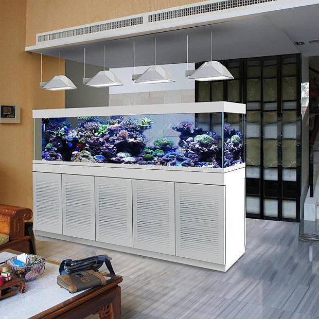 玻璃鱼缸生态海景缸水族箱海纳利尔海缸厂家直销可定制满5000包邮