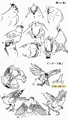 蘇打小蒙采集到技法教程