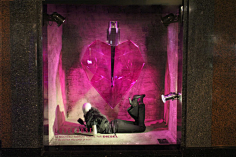 pipapipa采集到展示陈列