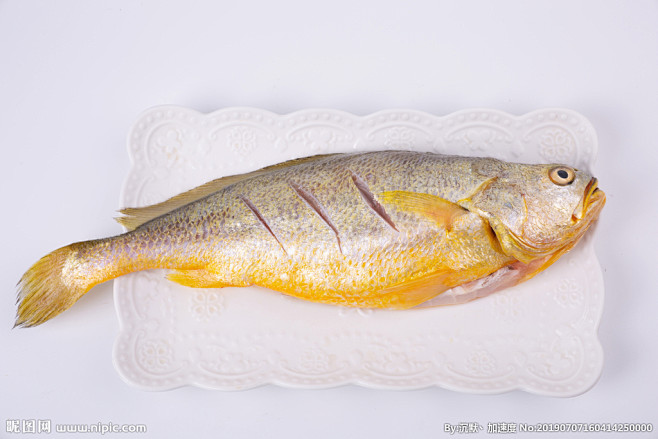黄花鱼新鲜海鱼海鲜