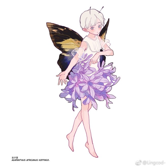 lingcod的照片微相册