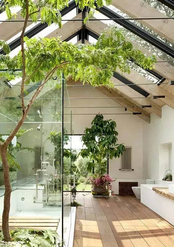 55个绝美天井种树案例有树有阳光