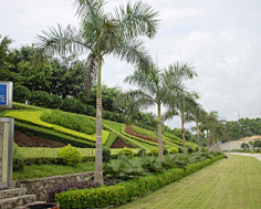 而说到坡面绿化,就不得不提到总面积超过3000㎡的立体绿化景观式边坡