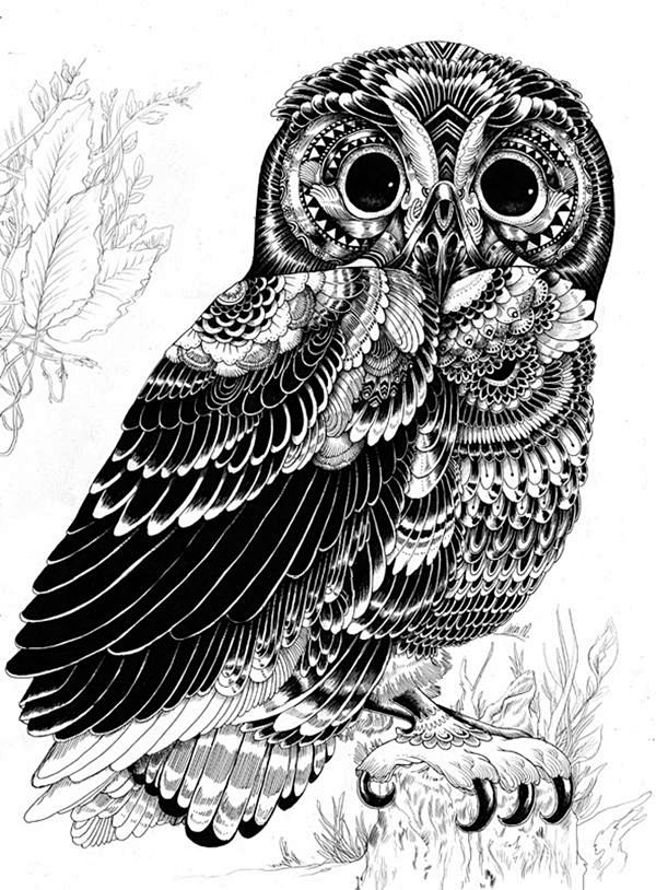 iainmacarthur动物黑白肖像插画欣赏黑白插画装饰画自然肖像插画系列