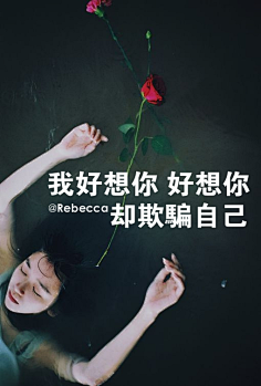 我的生活我的歌采集到文字图