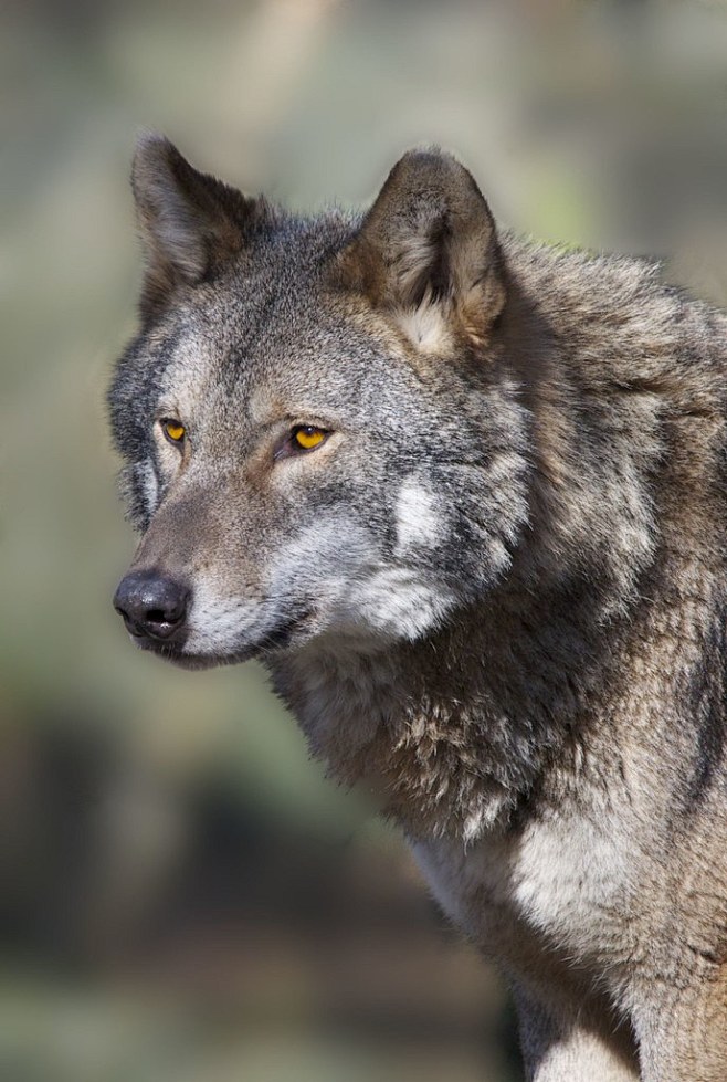 658_979竖版 竖屏