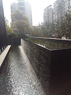 二次元的大鱼采集到景