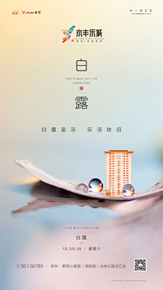 哼哼哈兮兮采集到微信秃