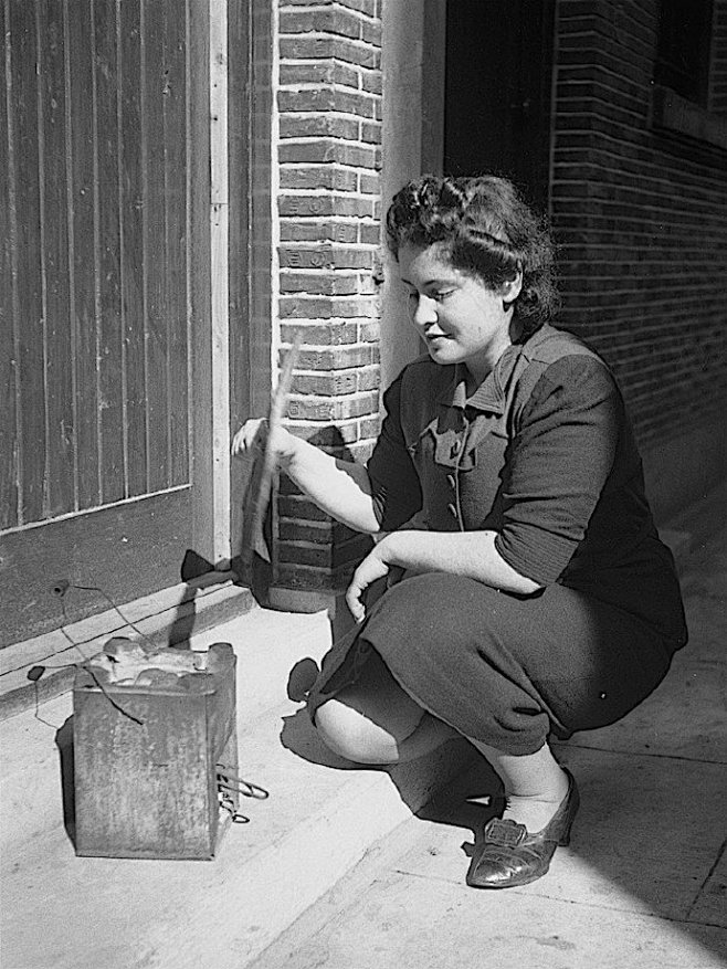 收藏老照片二战期间的上海犹太女子资料google67676767