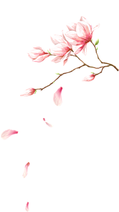 琳琳♪采集到各种古风素材