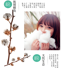 小浣熊_采集到素材