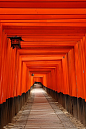 日本京都Fascinating city in Japan >Fushimi Inari shrine