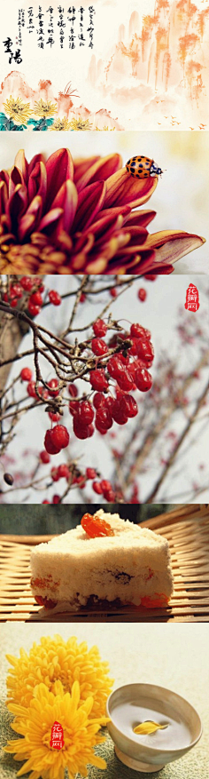 ifortune采集到待归类采集