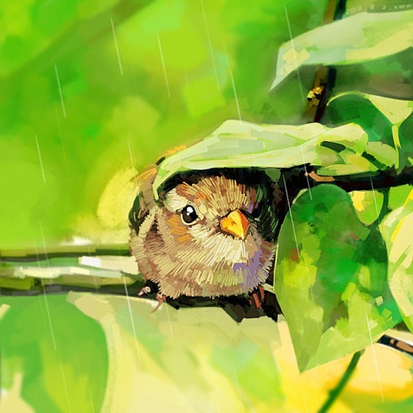 小鸟在躲雨一片叶子就是它的小伞