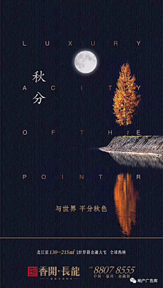 aYn🐭采集到秋分海报