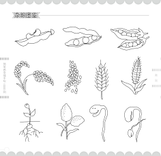 花瓣009采集到花瓣08