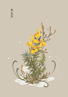 芍药居一霸采集到不知道叫啥名