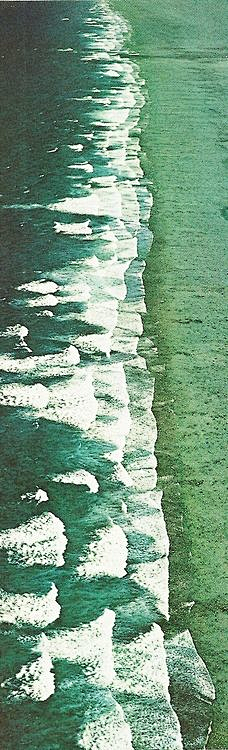 烟雨任平生采集到贴图/软装/配饰