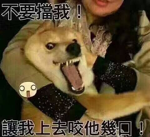 微信狗咬人表情包图片
