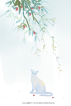 卉*语采集到猫猫