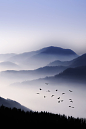 Flying Over The Fog : (©) 

