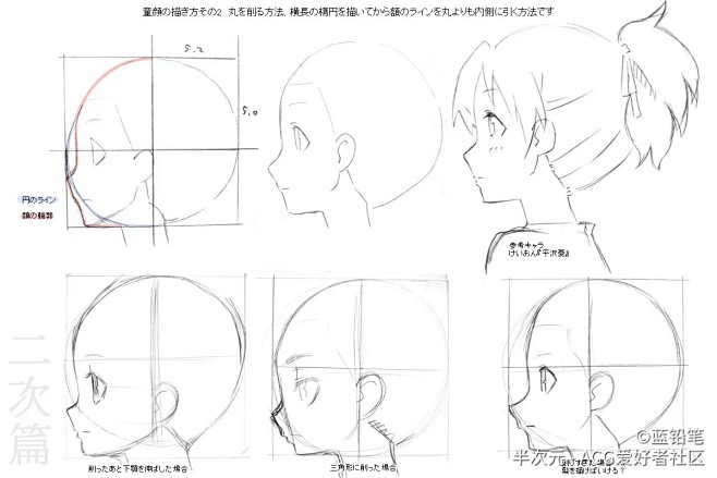 側臉的繪畫參考不同頭部的結構畫法