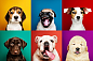 Portrait collection of adorable puppies Free Photo