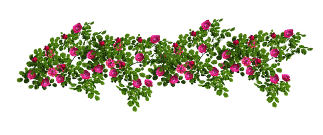 ps免抠素材史上最全的透明素材png格式315pps吧百度贴吧