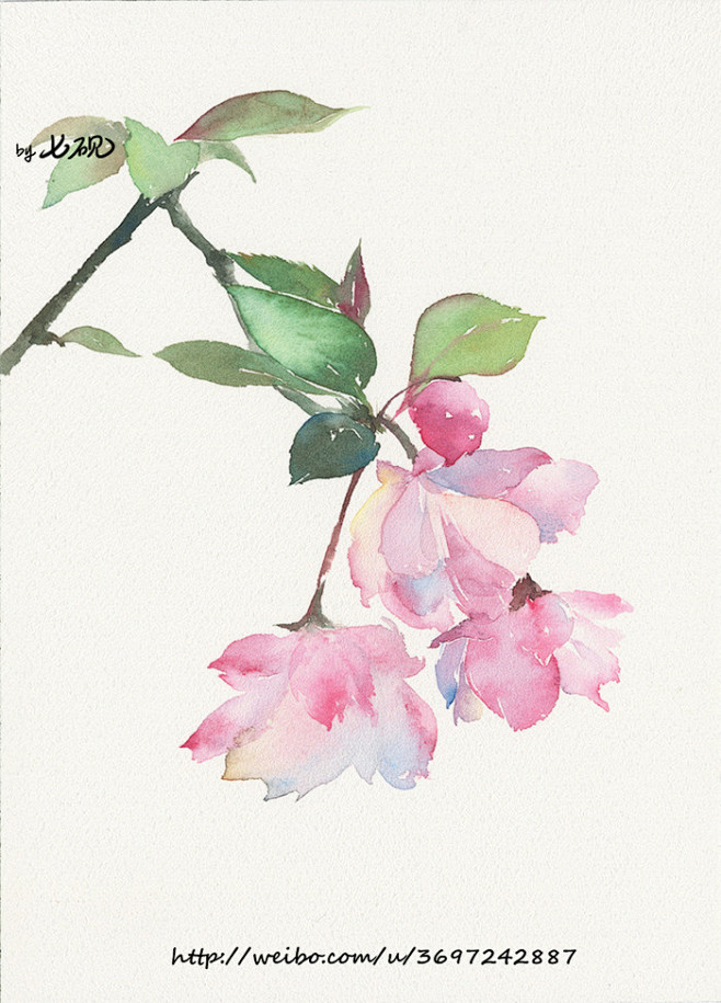 水彩-花瓣网|陪你做生活的设计师 | 手绘美食 水彩 素材 西瓜