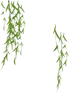 哇哈哈—AD钙奶采集到素材-植物
