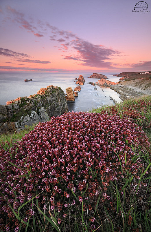 清凉,即便会绚丽,但似烟花,难以长久。只一生衣