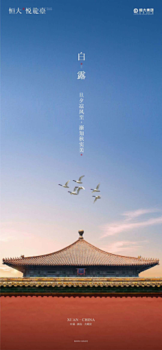 大美·无言采集到海报