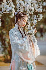 凯顿大人的心上喵采集到古风