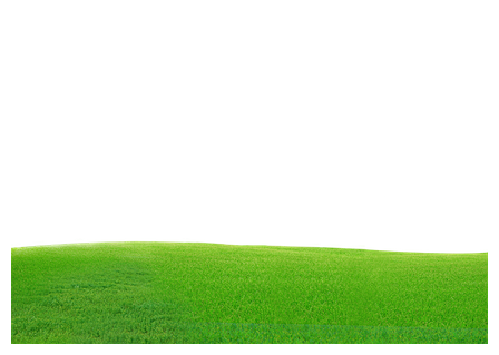 草坪草地草原小草环保树木绿色草丛摄影后期免抠png元素素材 查看来源浏览大图 1595 1117像素