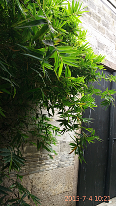 aplooe_王枫采集到锦上添花