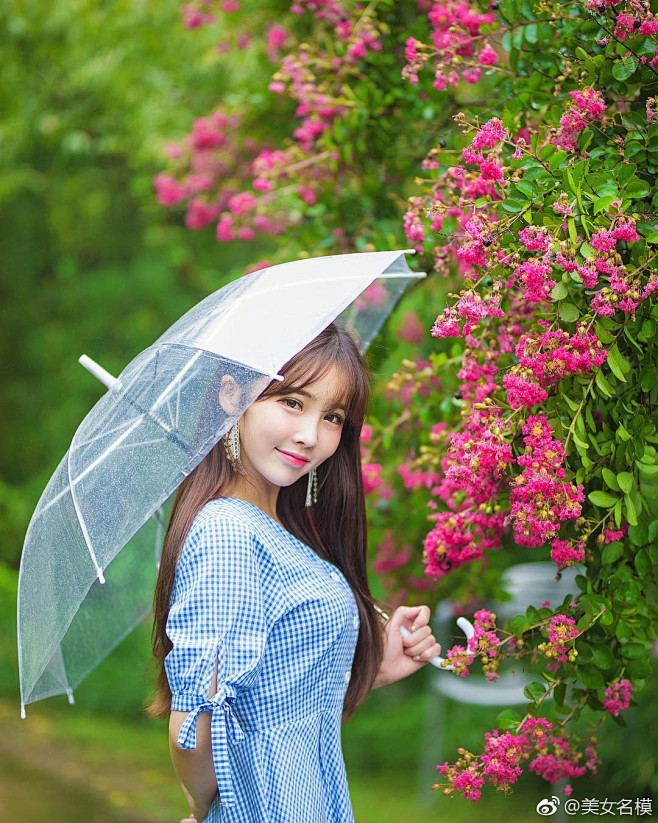 美女名模的微博 桃子圈-微博全数据