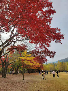 akong采集到旅游