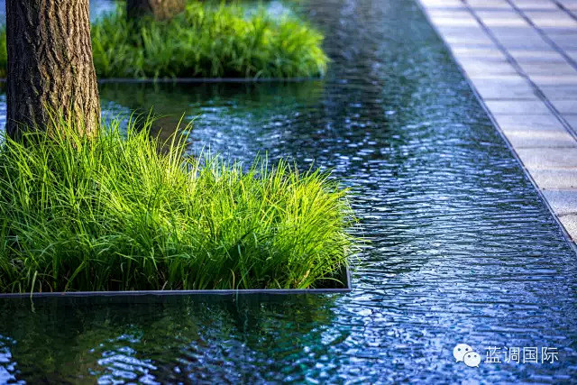 水系景观-花瓣网|陪你做生活的设计师