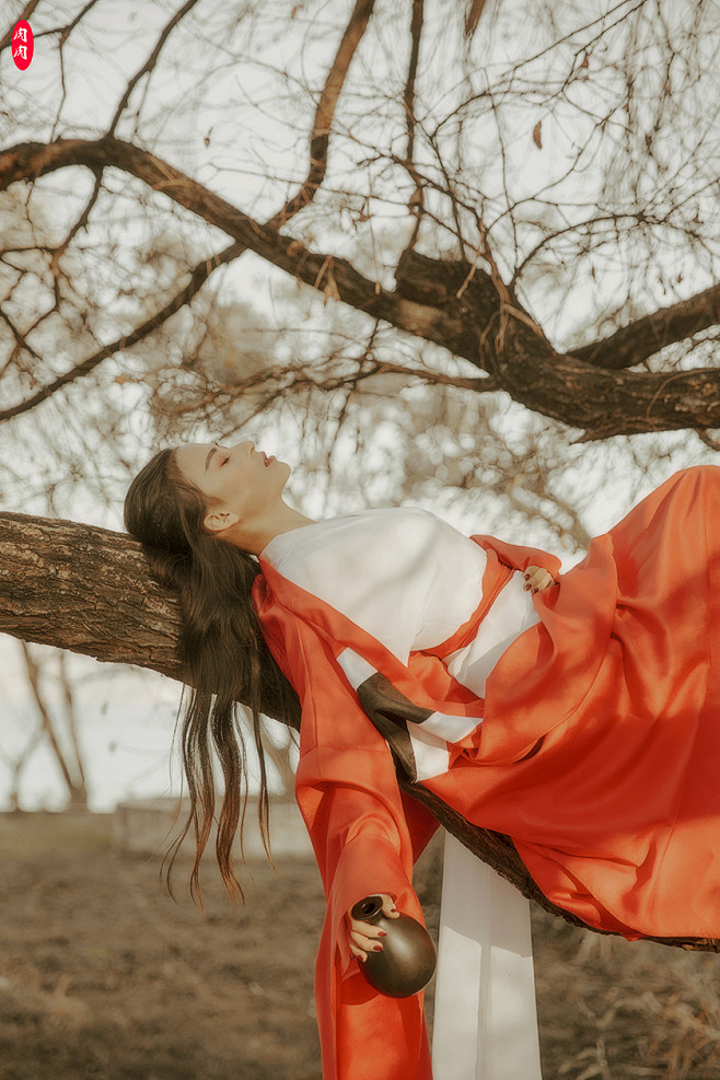 桃花坞里桃花庵,桃花庵下桃花仙桃花仙人