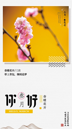图啊~采集到白色极简