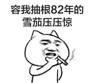 长得帅表情包容我抽根82年的雪茄压压惊