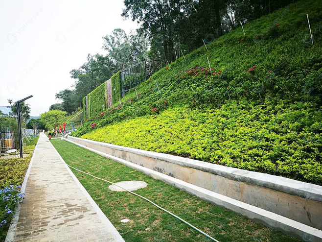 醉舞经阁半卷书从倾风者转采于2021-02-23 18:28:27高边坡设计2b景观