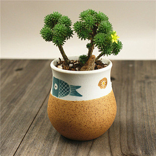 多肉花盆手工花盆手绘云纹鱼案头小花盆陶艺花盆淘宝网