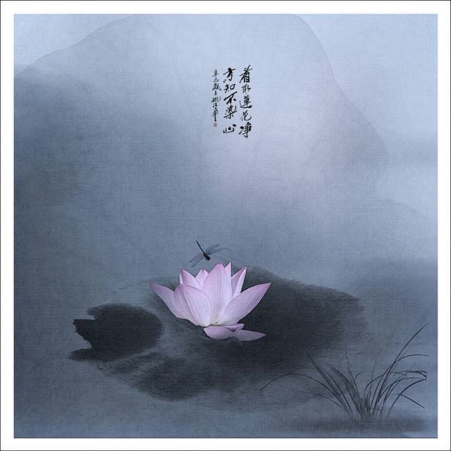 禅意图片意境图片心情文字配图