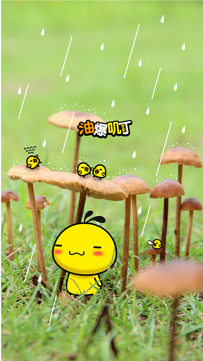 2gua采集到生活之韵