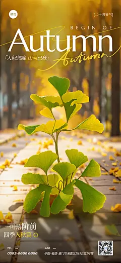 立秋节气祝福通用实景感全屏竖版海报AIGC